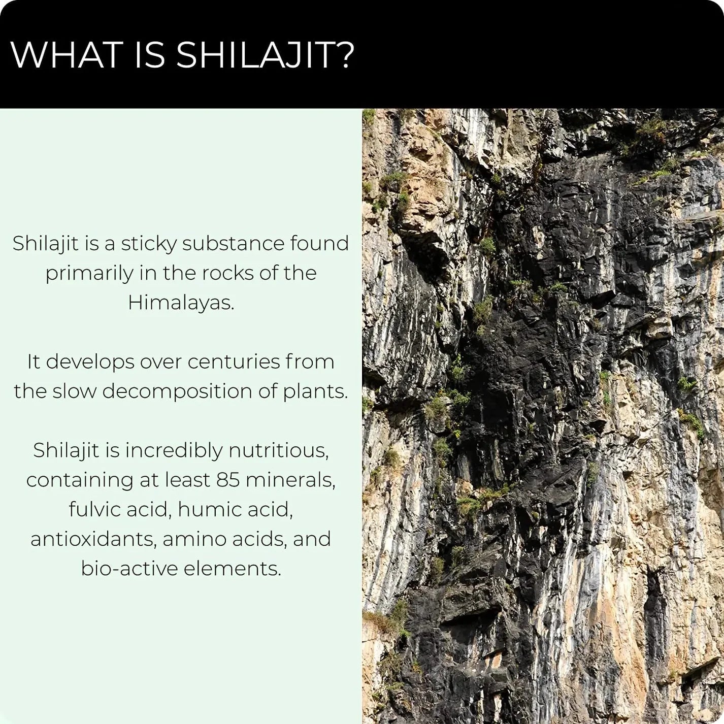 Shilajit Essential Extract - Restore youthful energy and incredible strength!